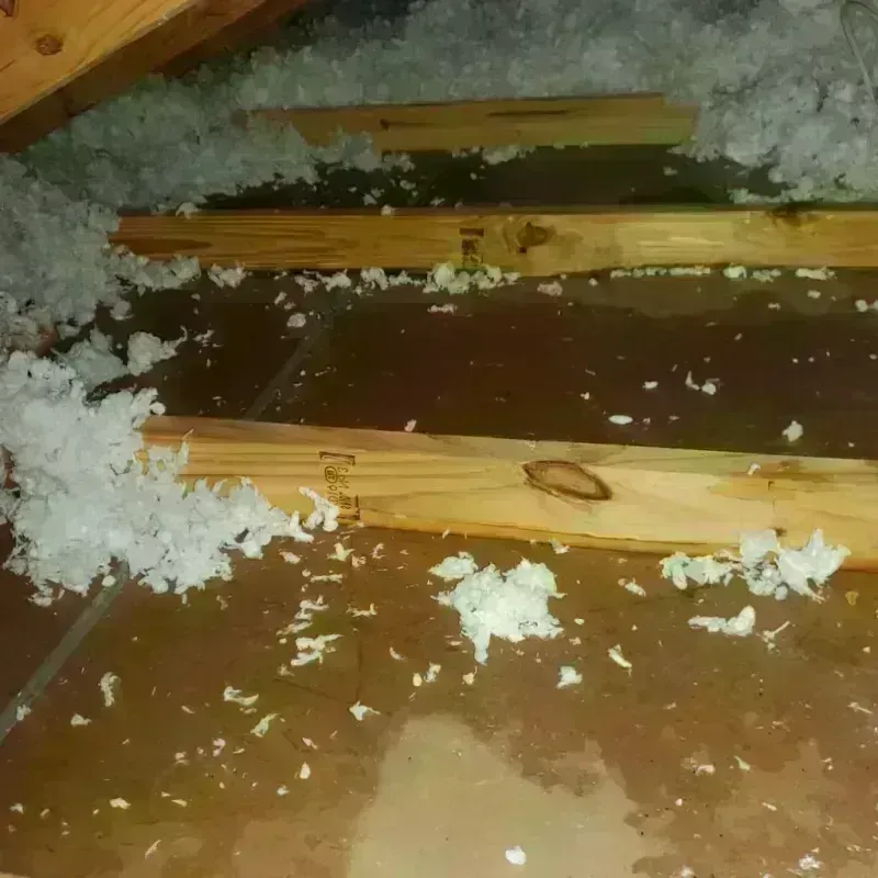 Attic Water Damage in Halifax County, NC